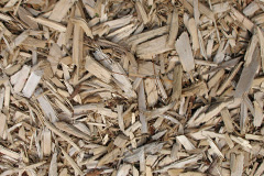 biomass boilers Cudlipptown
